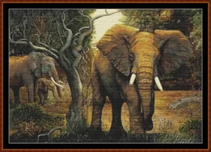 Elephants