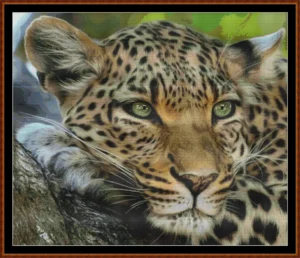 Faces Of The Cat - Leopard top 10 cross stitch patterns of August 2025